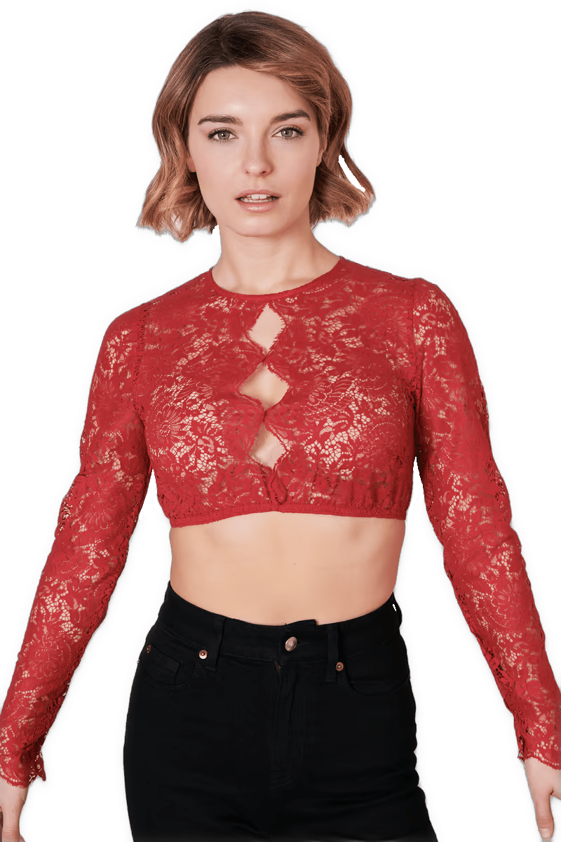 Dirndlbluse Krüger Collections, hochgeschlossen, langarm, Raffaella, rot, beere Dirndlblusen Krüger