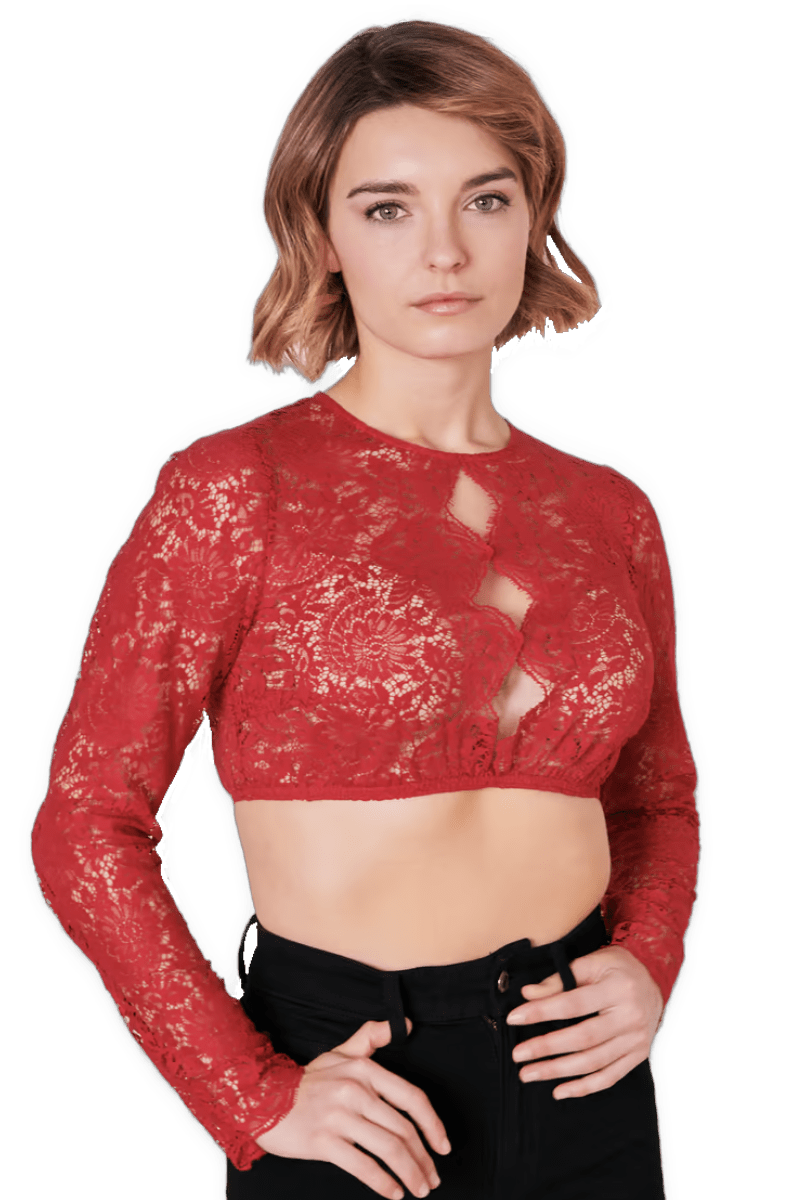 Dirndlbluse Krüger Collections, hochgeschlossen, langarm, Raffaella, rot, beere Dirndlblusen Krüger