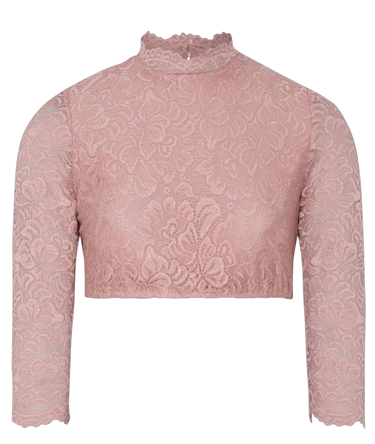 Dirndlbluse, Spieth & Wensky, hochgeschlossen, rosa, Amsterdam Dirndlblusen Spieth & Wensky